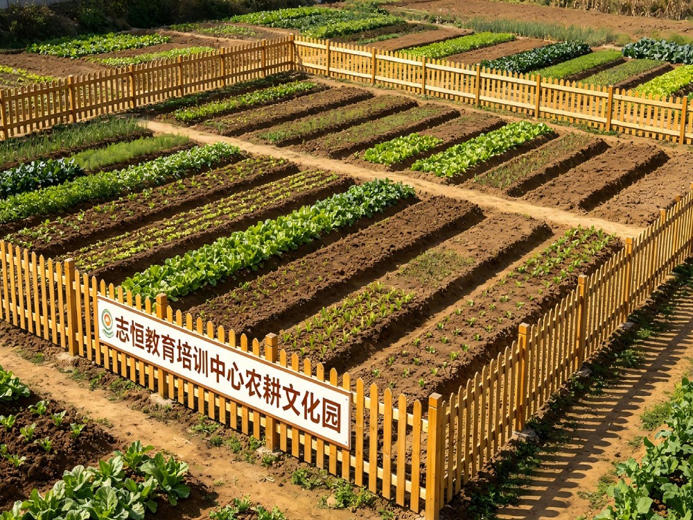 湘潭叛逆孩子改变学校哪家靠谱?从全封闭管教到厌学疏导,家长需看这几点
